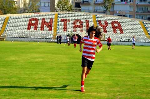 Ada Arıcı
