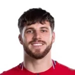 David Jurásek