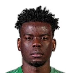 Borel Tomandzoto