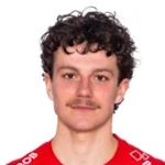 Denzel De Roeve