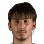 Vuk Draškić
