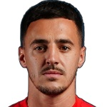 Nikola Marjanović