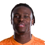 Wilfried Singo