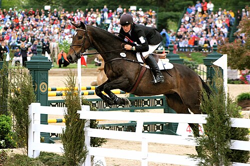 show-jumping