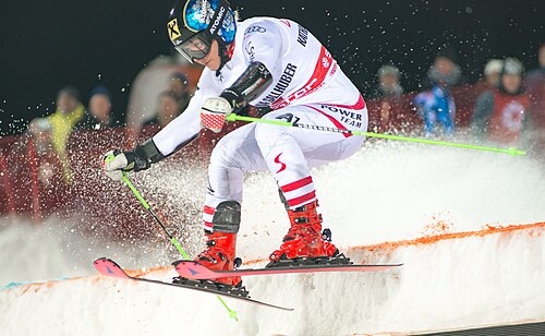 Katharina Gallhuber